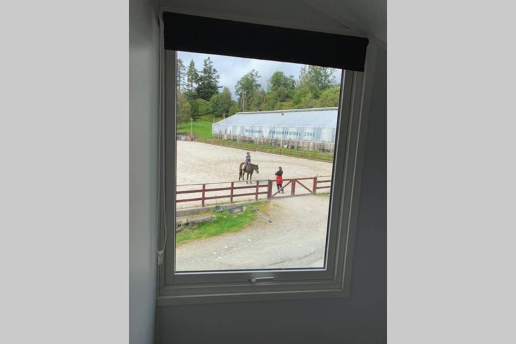 Moldegaard Riding Lodge Moldegard Esterno foto